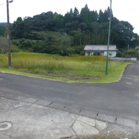 城上幼稚園の写真1