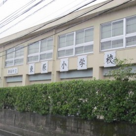 東原保育園の写真2