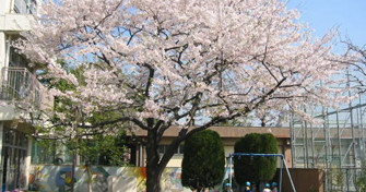 西が丘保育園