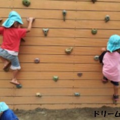 幼保連携型認定こども園第２ドリーム保育園