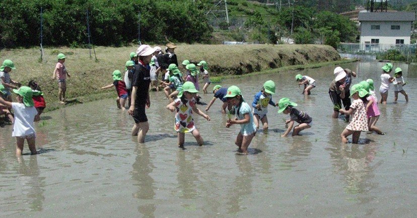 南郷こども園