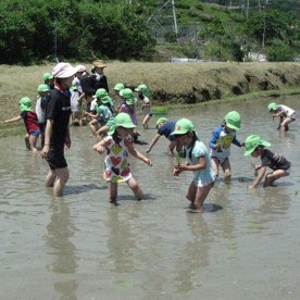 南郷こども園の写真1