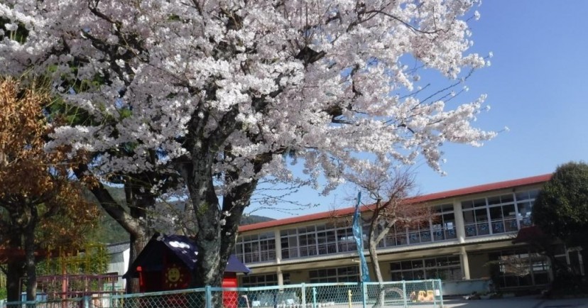 坂本幼稚園