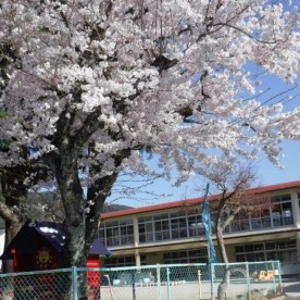 坂本幼稚園