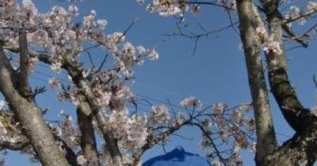 青山幼稚園