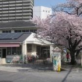 逢坂保育園