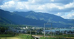 こころ咲く