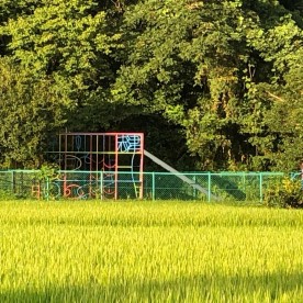 志津保育園