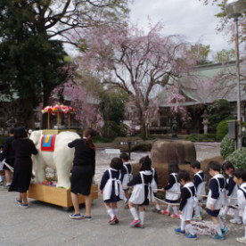 妙福寺保育園の写真4