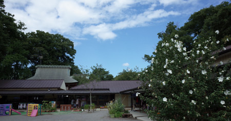 妙福寺保育園
