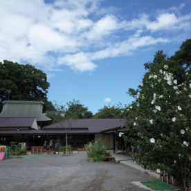妙福寺保育園の写真2