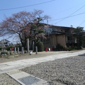 愛知川保育園の写真2
