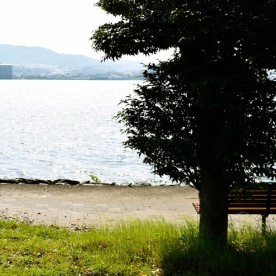 レイモンド淡海保育園の写真2