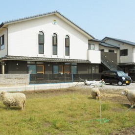 レイモンド大藪保育園の写真2