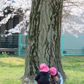 そらの鳥こども園の写真3