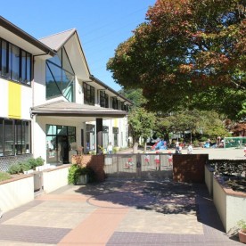 学校法人ひまわり幼稚園