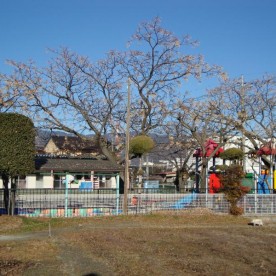 万才保育園の写真2