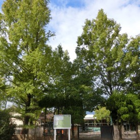 登美保育園の写真1