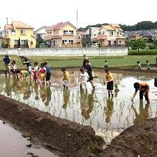 東平ひまわり保育園の写真4