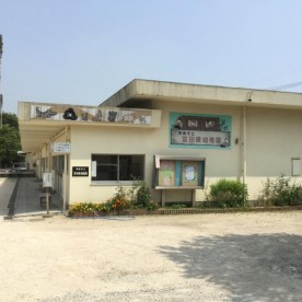 富田東幼稚園の写真2