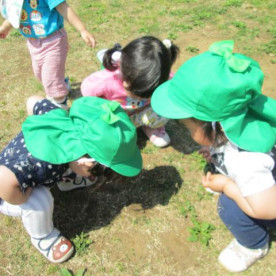 立野みどり保育園の写真4