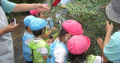 吹上保育園旭が丘分園（分園１）