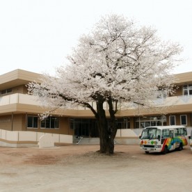 認定こども園大谷幼稚園