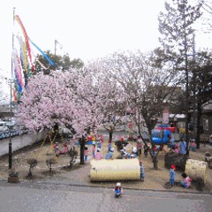 かしのみ幼稚園