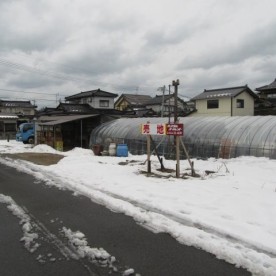 宮野浦保育園の写真2