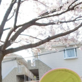 ふちしらコスモ保育園の写真3