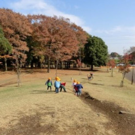小金井公園ハイジ保育園の写真3