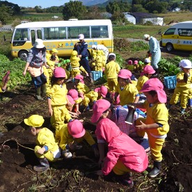 認定こども園あおぞら幼稚園