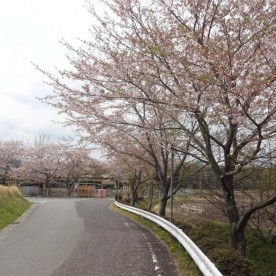 ひとみね保育園