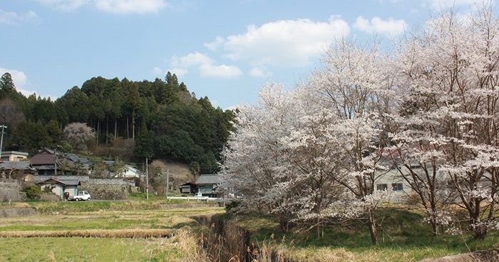 古山保育園