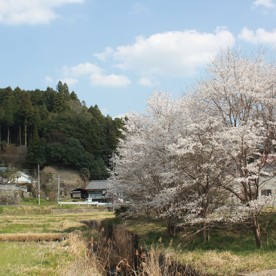 古山保育園