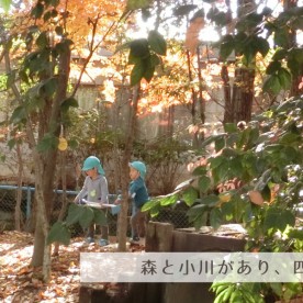 まきば幼稚園の写真2