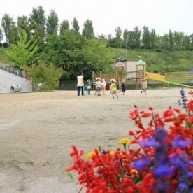 認定こども園名張よさみ幼稚園の写真3