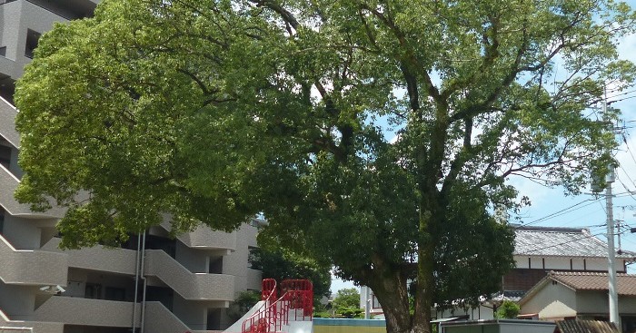 唐津市立唐津幼稚園