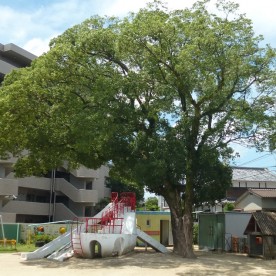 唐津市立唐津幼稚園の写真2