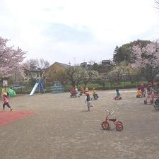 町田ときわ保育園の写真2