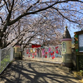 親和保育園
