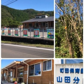 町田保育園山田分園（分園）