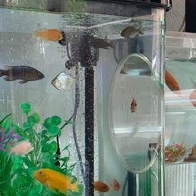 さゆり保育園