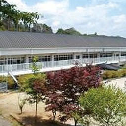 認定子ども園杉の子せと幼稚園