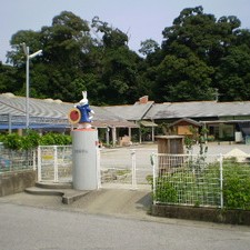 十市保育園の写真2
