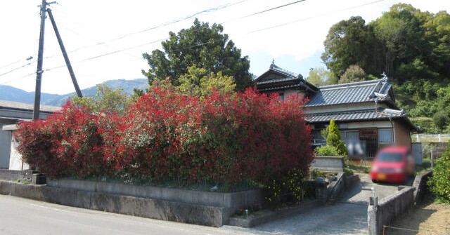 山の手保育園