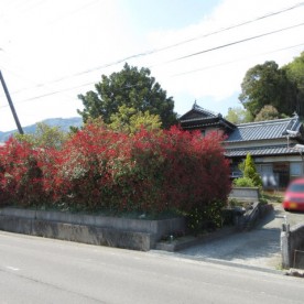 山の手保育園