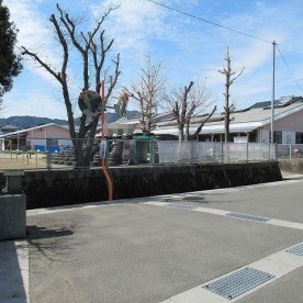 わかば保育園
