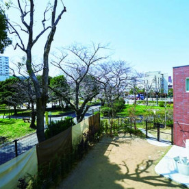 グローバルキッズ成増園の写真3