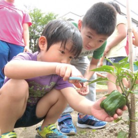 北の星白石保育園